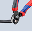 Pair of wire cutters with red and blue handles on a light gray background