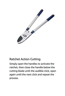 Spear & Jackson 8290RS Razorsharp Heavy Duty Telescopic Ratchet Anvil Loppers