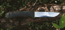 Morakniv made in Sweden Stainless Steel Bushcraft Forest Knife - Cardon Tools