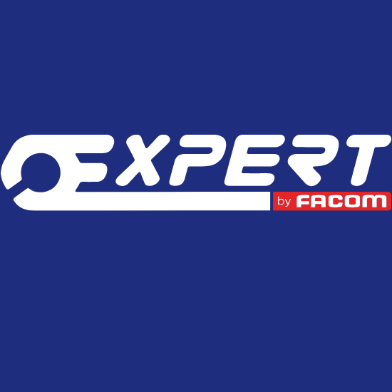 EXPERT By Facom Ear collar clamp - E200528 - Cardon Tools